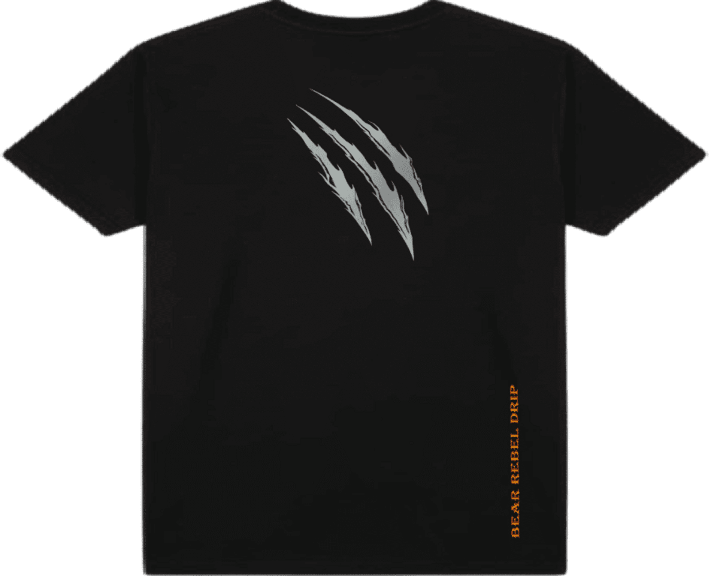 Zarpazo plata b23 - 3